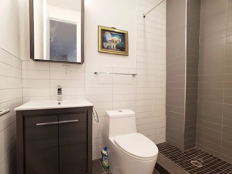 243 Troy Ave #2G — Photo 7
