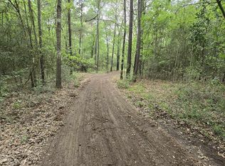 12A Mills Ln, Richards, TX 77873