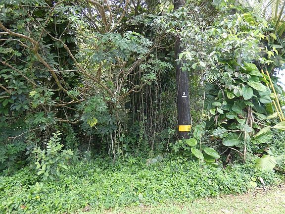 4th image of Palani St Lot 2