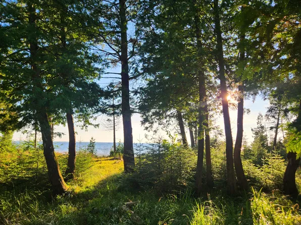 1615 Zela Point Dr, Bois Blanc Island, MI 49775