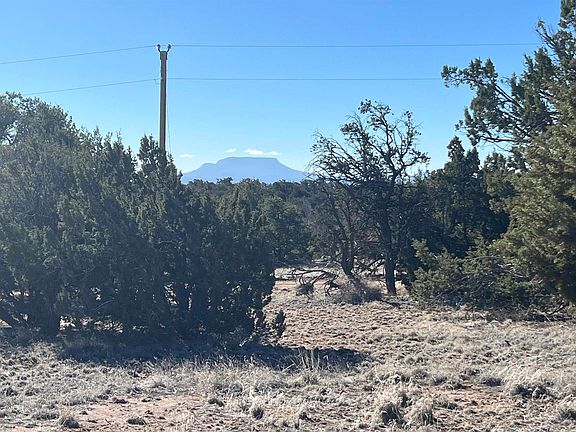 5th image of Navajo Way