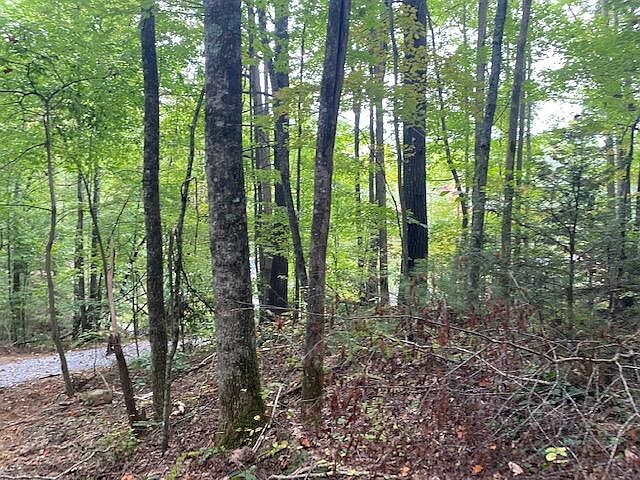 1st image of 0 Willow Ln