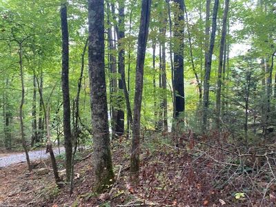 0 Willow Ln, Greeneville, TN, 37743