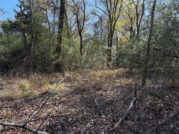 County Road 301 Tract Rd #7, Oakwood, TX 75855