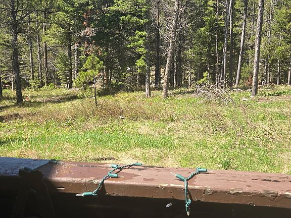 From the back deck, Bridger Bowl past the trees