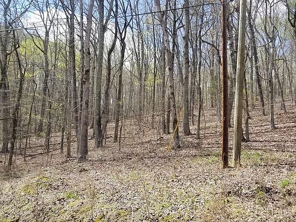 4th image of 0 Spruce Willow & Maple