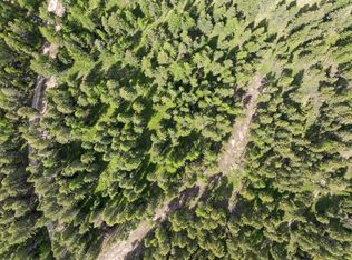 439 Buffalo Trl, Somers, MT 59932