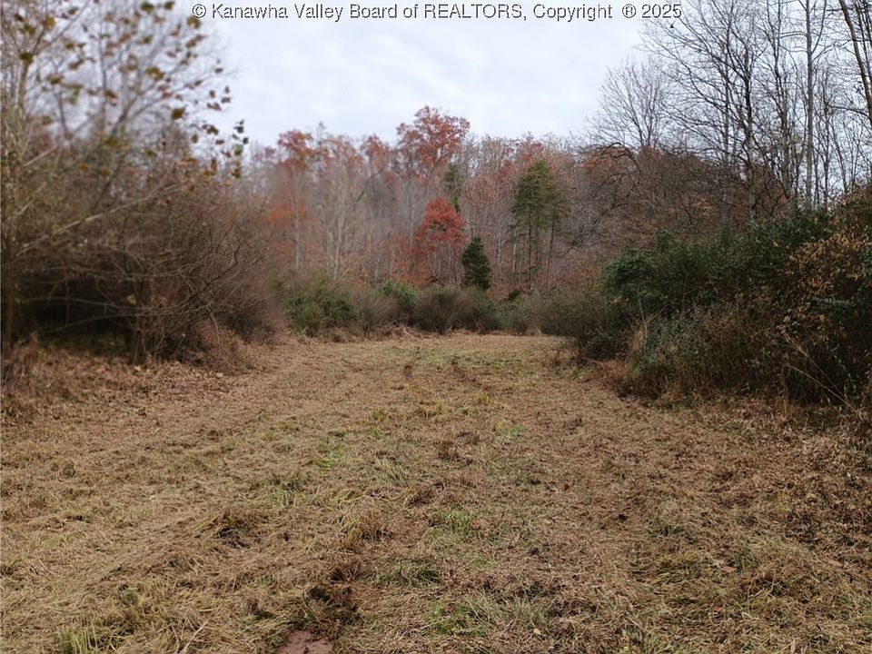 2nd image of 0 Wallace Rd
