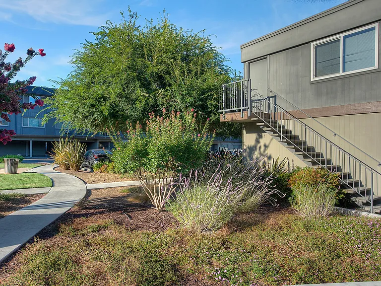 234 Escuela Ave — Photo 34