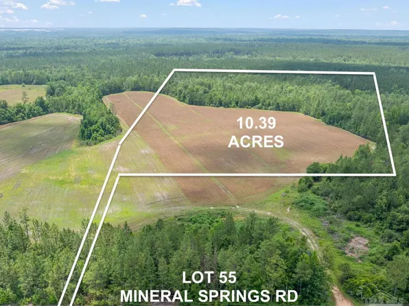 LOT 55 Mineral Springs Rd, Jay, FL 32565