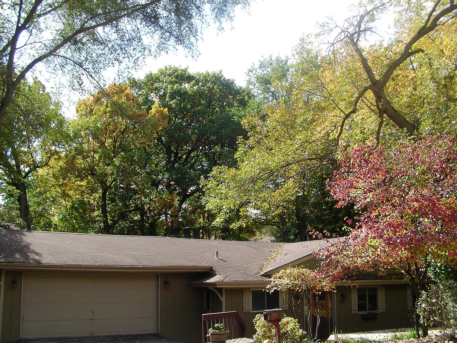 51 McKinley St photo 1