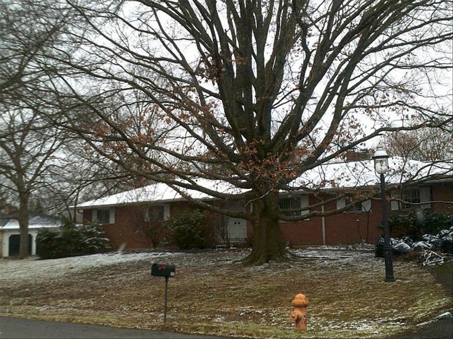 2nd image of 259 Farmington Dr