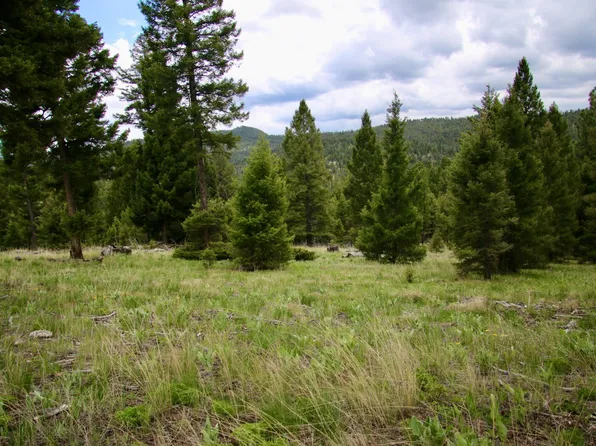 Nhn Muskrat Rd Lot 41, Helmville, MT 59843