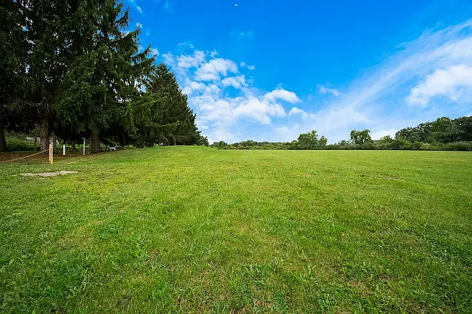 Grounds