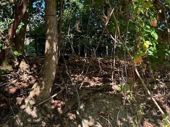 34 Firglade St, Worcester, MA 01602