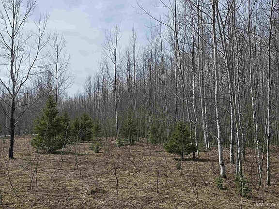 5th image of Woodspur Rd