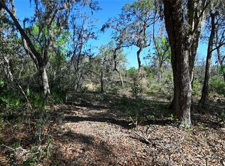 Pablo Island Dr, Groveland, FL 34736