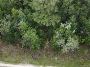 12845 SW 95th Pl #2, Dunnellon, FL 34432