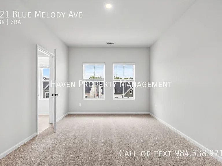 121 Blue Melody Ave — Photo 26