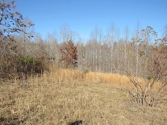 4th image of 465 Woods Ln