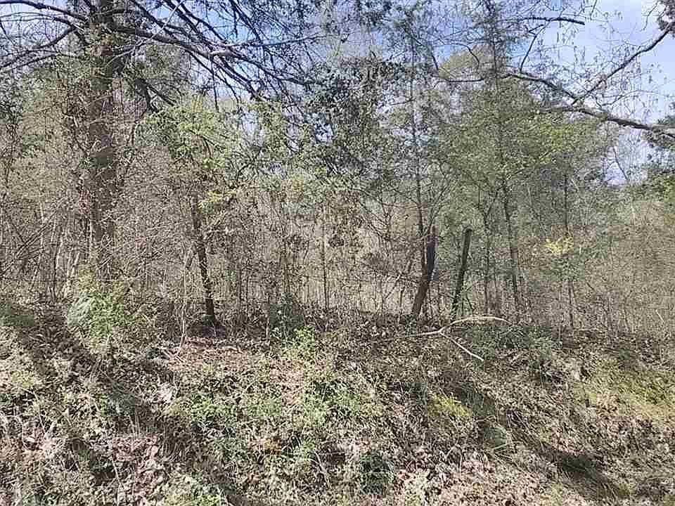 1st image of 182 River Dr