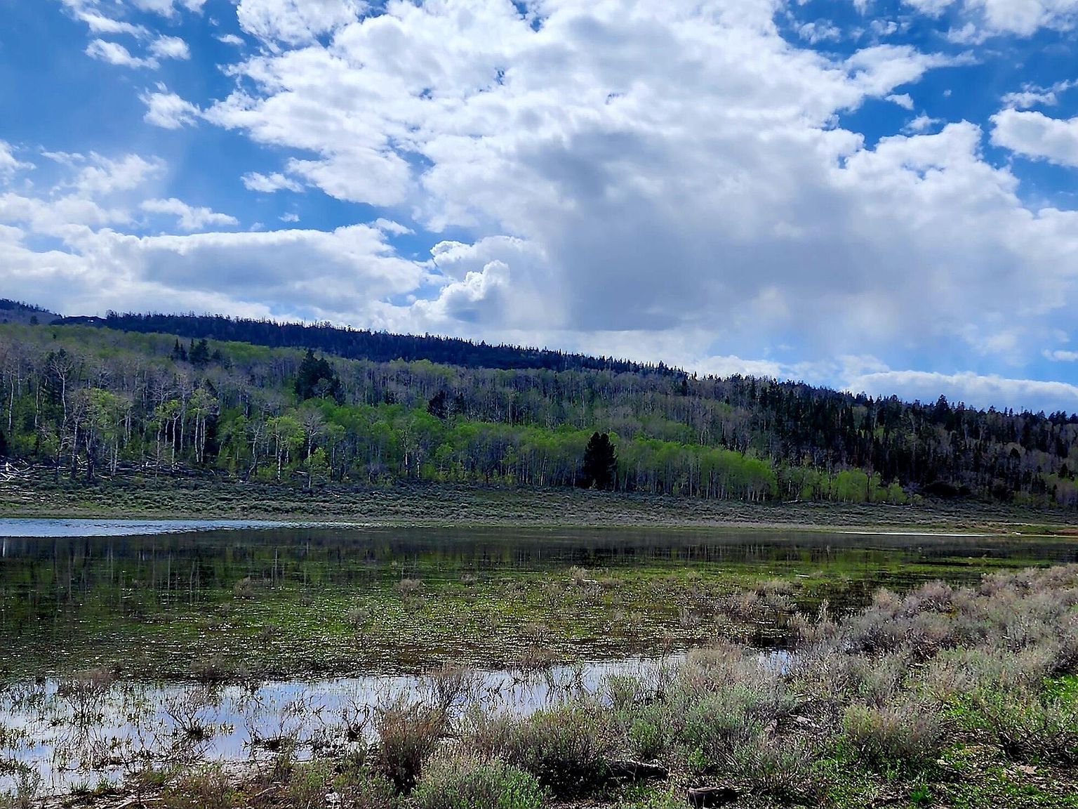 790 W Sevier River Rd, Annabella, UT 84711 MLS 12304161 Zillow