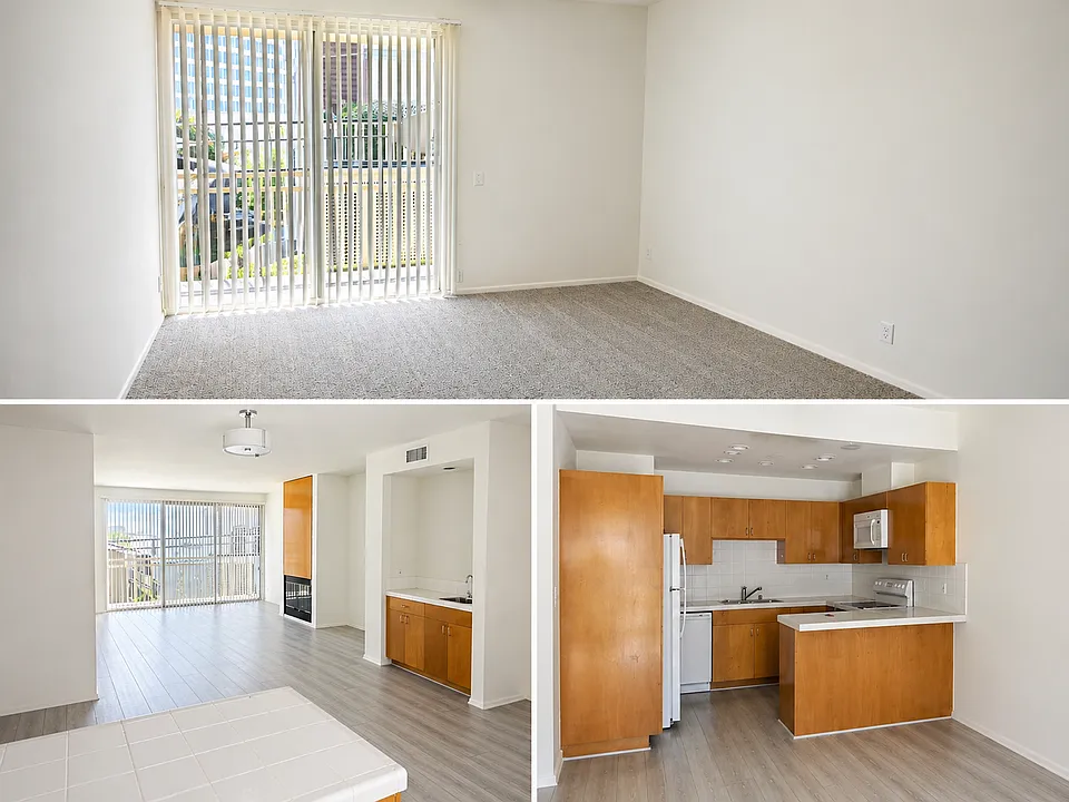 Apartment #110. One bedroom