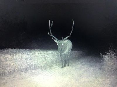 N8046 Snow Creek Street, Black River Falls, WI, 54615