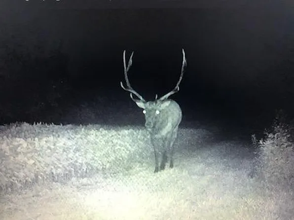 N8046 Snow Creek Street, Black River Falls, WI 54615