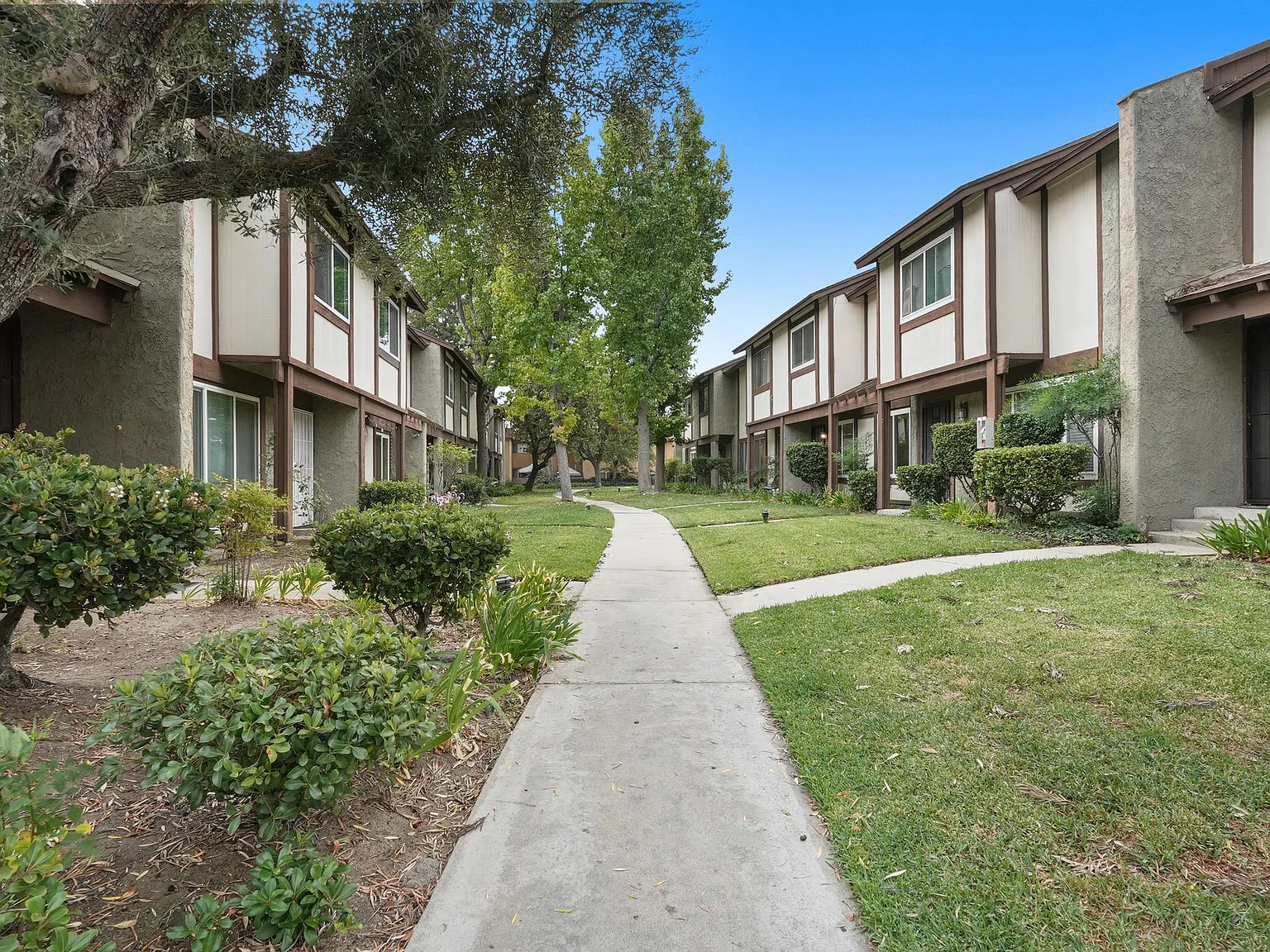 3 bed, 2.5 bath, 1281 sqft, $3,500 — Photo 3