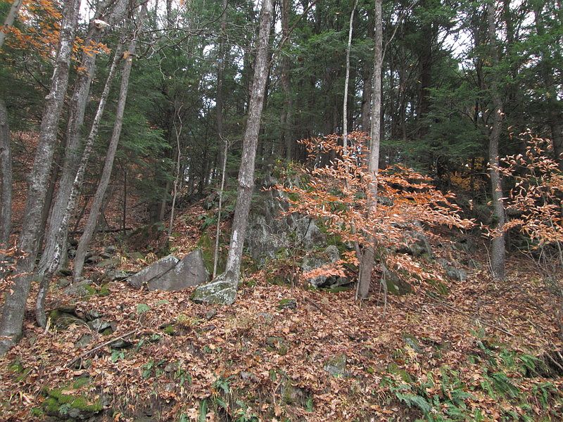 BOUNDARY MARKER
						:
						Giant rock off Williams Road marks SE boundary line.