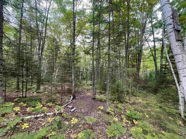 Woodland Ln, Dunbar, WI 54119