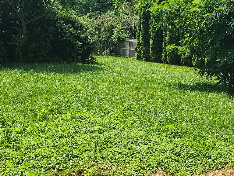 11 Smith Graveyard Rd — Photo 17