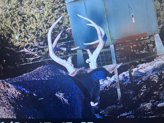 5th image of 1019 Whitetail Trl #11