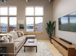 231 Robinson St UNIT 336, Basalt, CO 81621