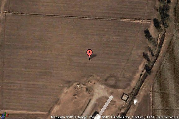 Map View