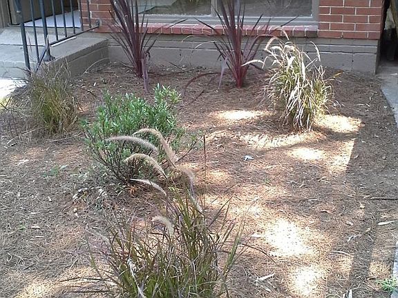 Landscaping