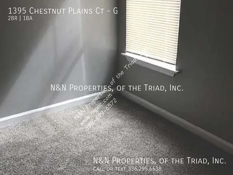 1395 Chestnut Plains Ct #G — Photo 4