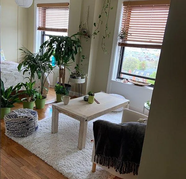 15 E Kirby St #730 — Photo 8