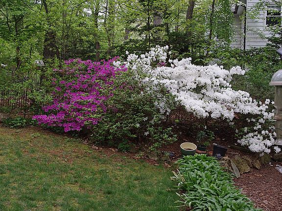 5th image of 7604 Dew Wood Dr