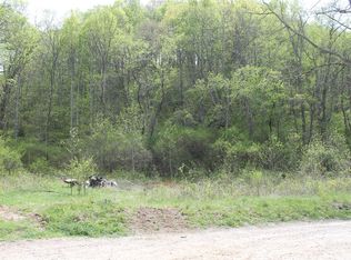 3 Long Branch Rd, Clyde, NC 28721