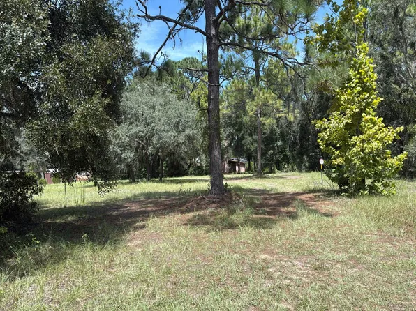 1465 E Ray St, Hernando, FL 34442