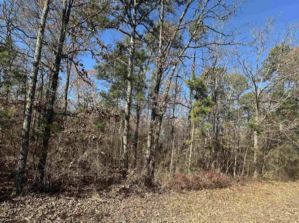 15 & 16 Woodland Dr, Higden, AR 72067