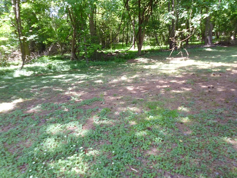 109 Laura Ln #B — Photo 3
