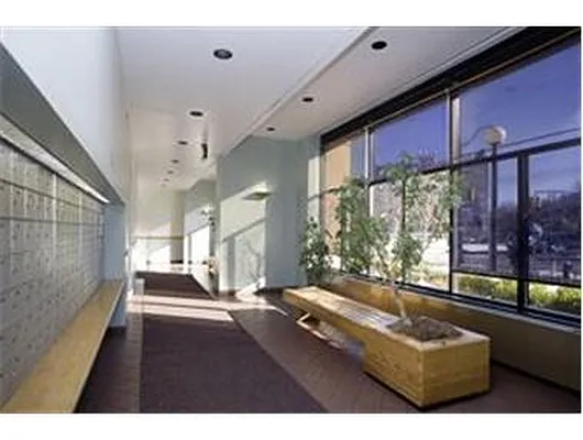 Rented by Douglas Elliman | media 7