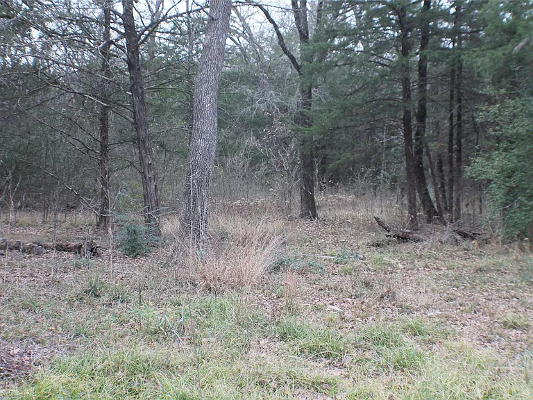 9603 County Road 2404 — Photo 19