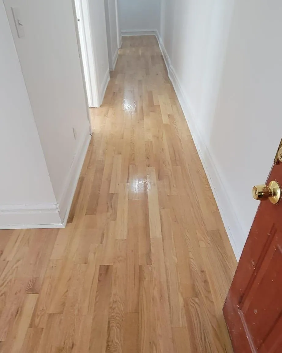 4 bed, 1300 sqft, $3,500 — Photo 1