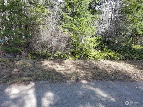 0 E Go Onna Drive Lot24, Quilcene, WA 98376