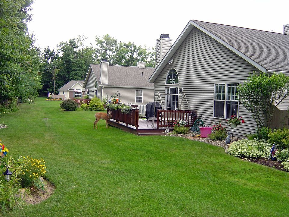 expansive semi private backyard