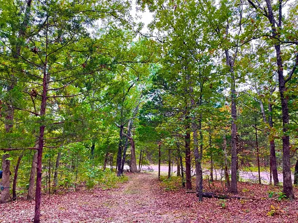 0 Highway 185, Leslie, MO 63056